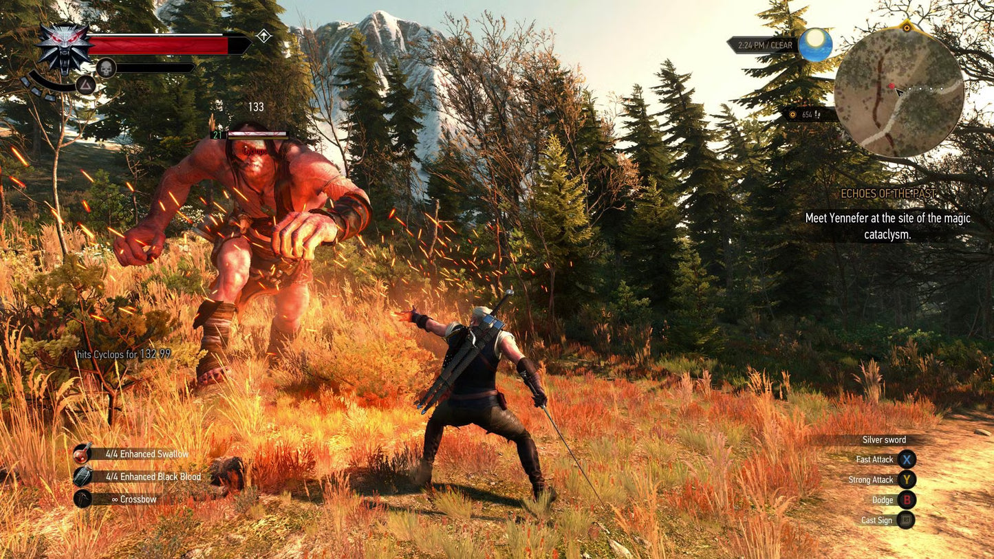 The Witcher 3 Wild Hunt