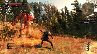 The Witcher 3 Wild Hunt